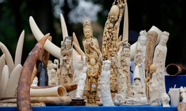Việt Nam được xem là một trong những thị trường tiêu thụ bất hợp pháp ngà voi lớn nhất thế giới